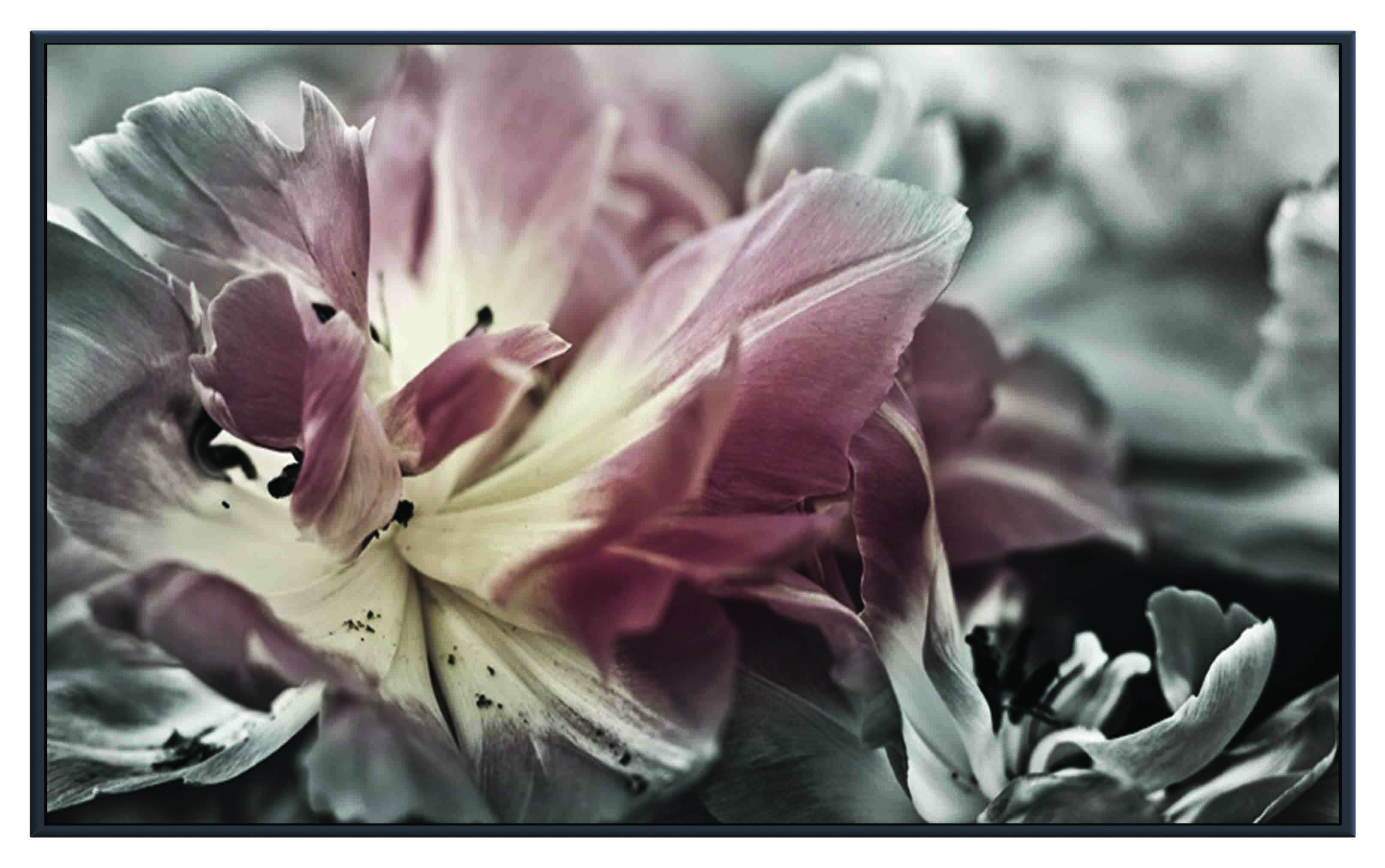 ASG238 Wall décor art printed on glass floral